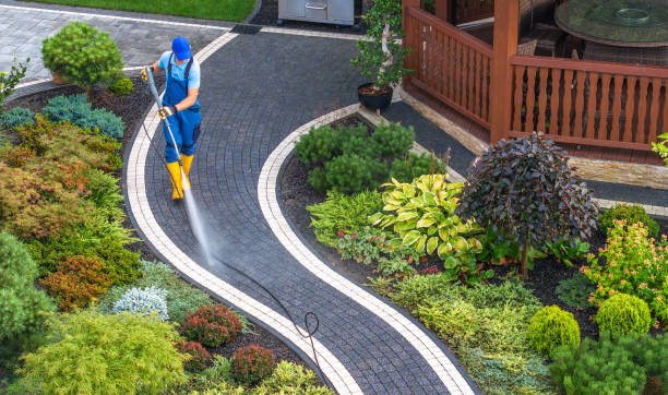 Best Residential Pressure Washing Services  in Holly Hill, FL